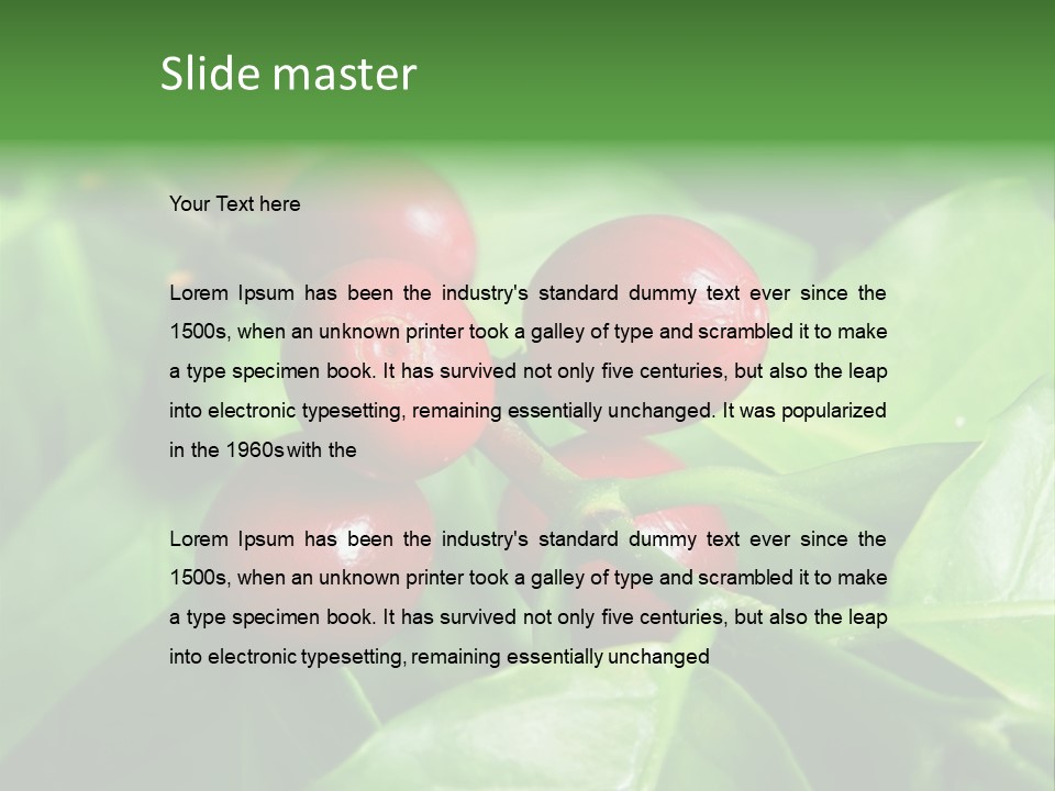 Branch Of A Coffee Tree With Ripe Fruits PowerPoint Template