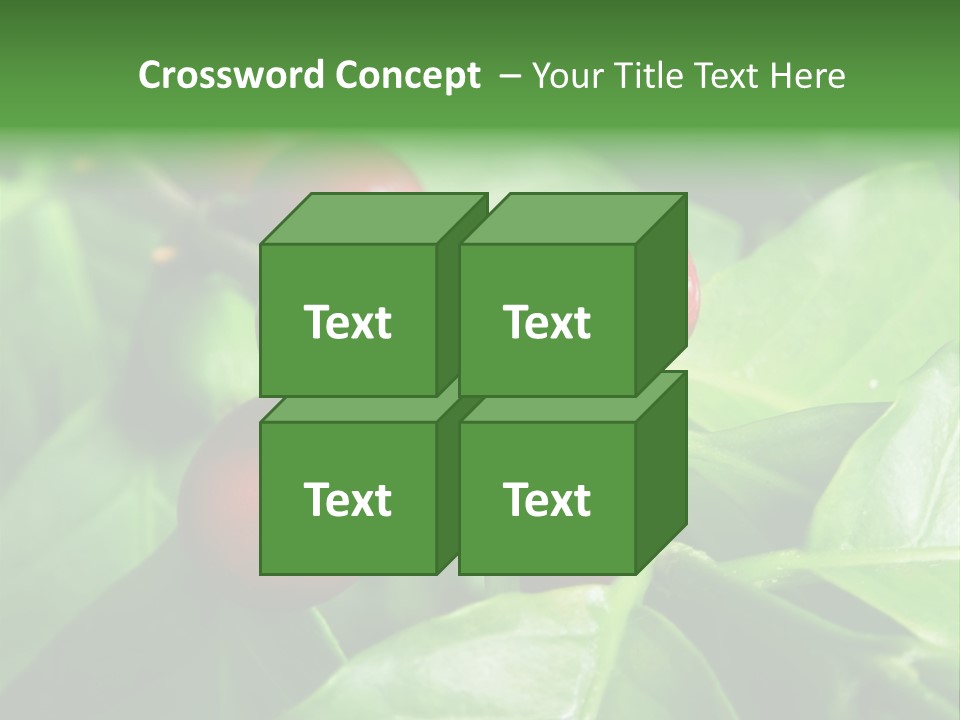 Branch Of A Coffee Tree With Ripe Fruits PowerPoint Template