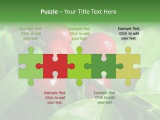 Branch Of A Coffee Tree With Ripe Fruits PowerPoint Template