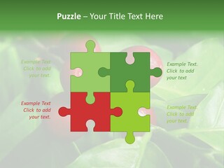 Branch Of A Coffee Tree With Ripe Fruits PowerPoint Template