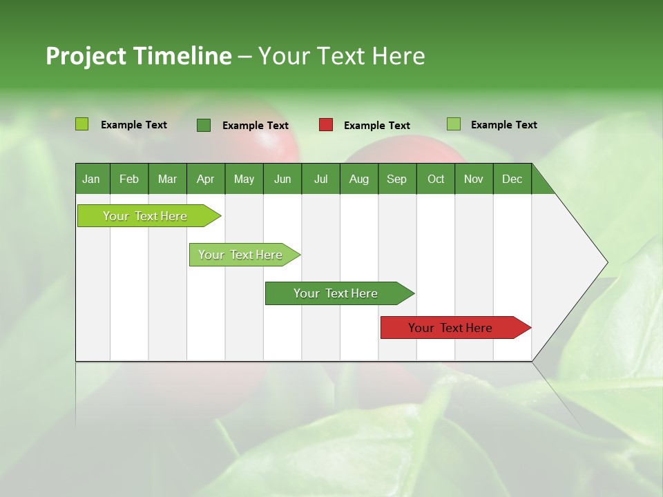 Branch Of A Coffee Tree With Ripe Fruits PowerPoint Template