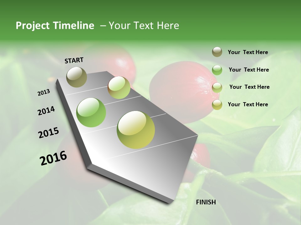 Branch Of A Coffee Tree With Ripe Fruits PowerPoint Template