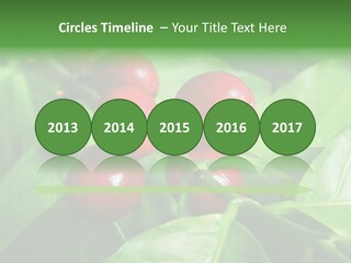 Branch Of A Coffee Tree With Ripe Fruits PowerPoint Template