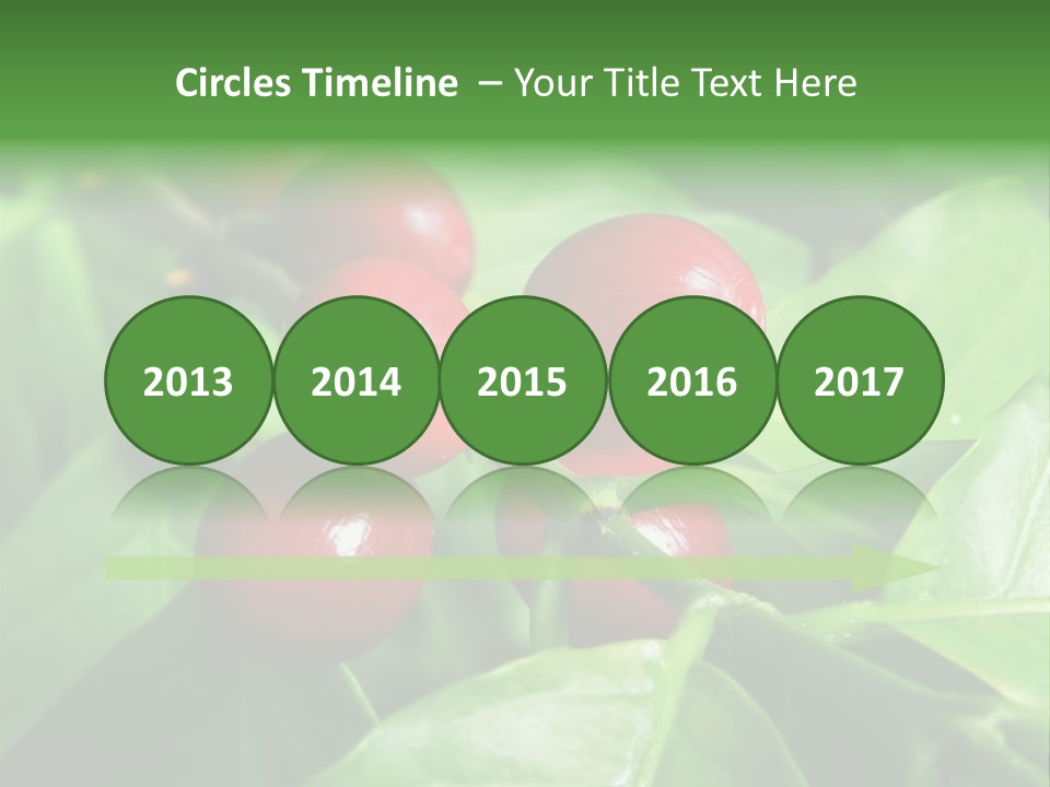 Branch Of A Coffee Tree With Ripe Fruits PowerPoint Template