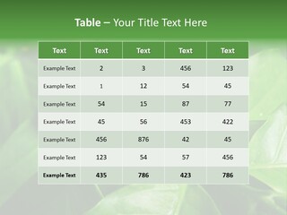 Branch Of A Coffee Tree With Ripe Fruits PowerPoint Template