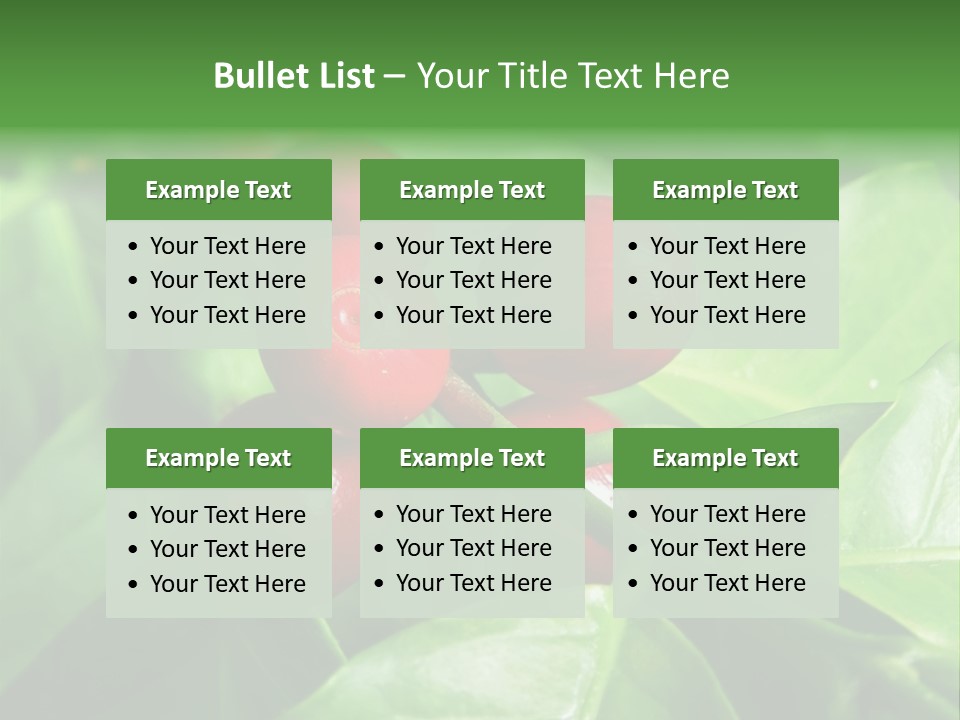 Branch Of A Coffee Tree With Ripe Fruits PowerPoint Template