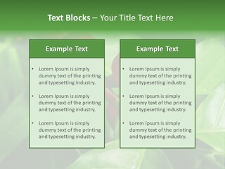 Branch Of A Coffee Tree With Ripe Fruits PowerPoint Template
