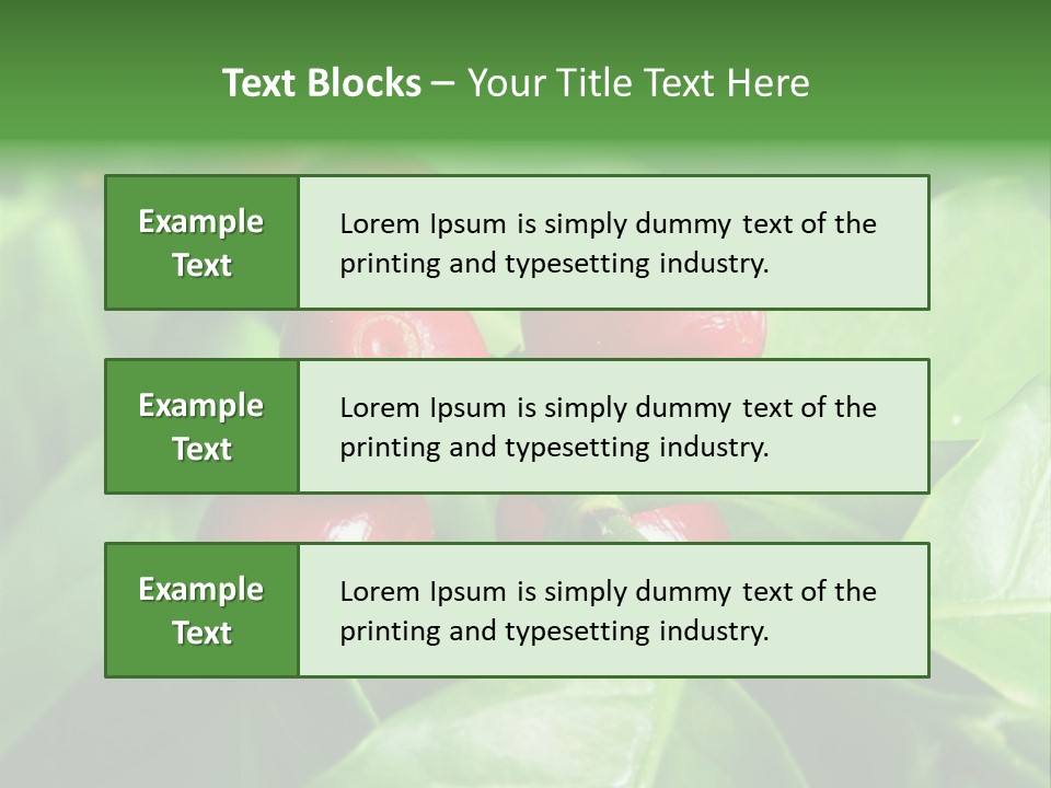 Branch Of A Coffee Tree With Ripe Fruits PowerPoint Template