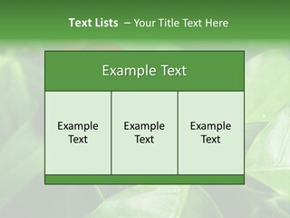 Branch Of A Coffee Tree With Ripe Fruits PowerPoint Template