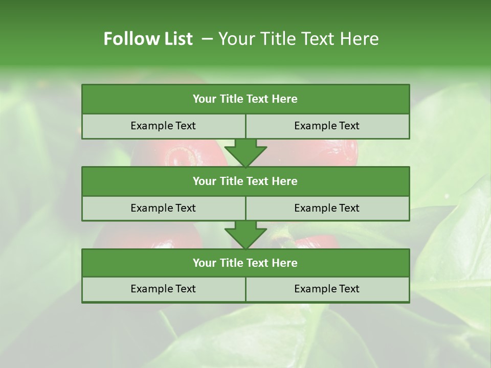 Branch Of A Coffee Tree With Ripe Fruits PowerPoint Template