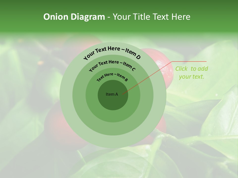 Branch Of A Coffee Tree With Ripe Fruits PowerPoint Template