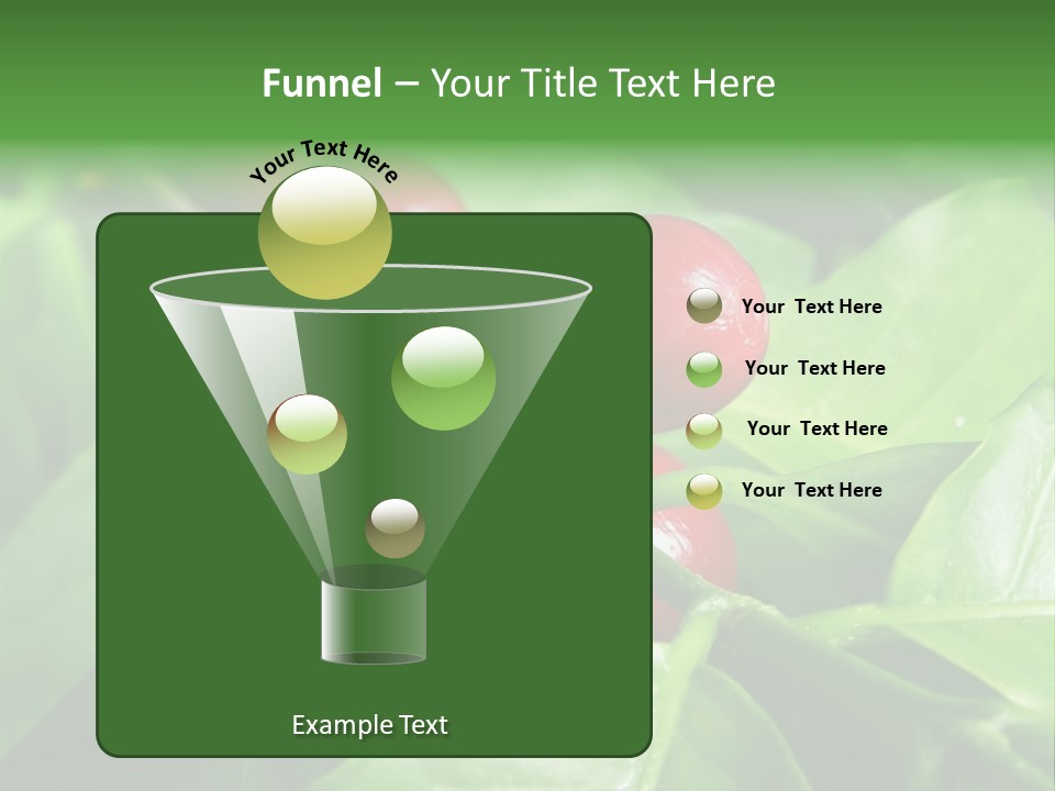 Branch Of A Coffee Tree With Ripe Fruits PowerPoint Template