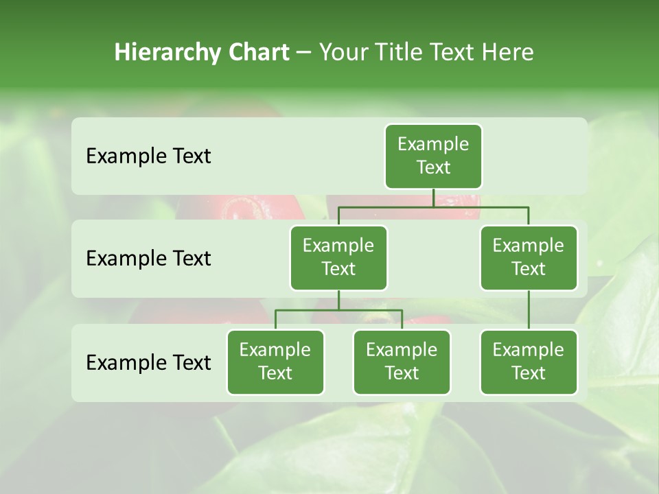 Branch Of A Coffee Tree With Ripe Fruits PowerPoint Template
