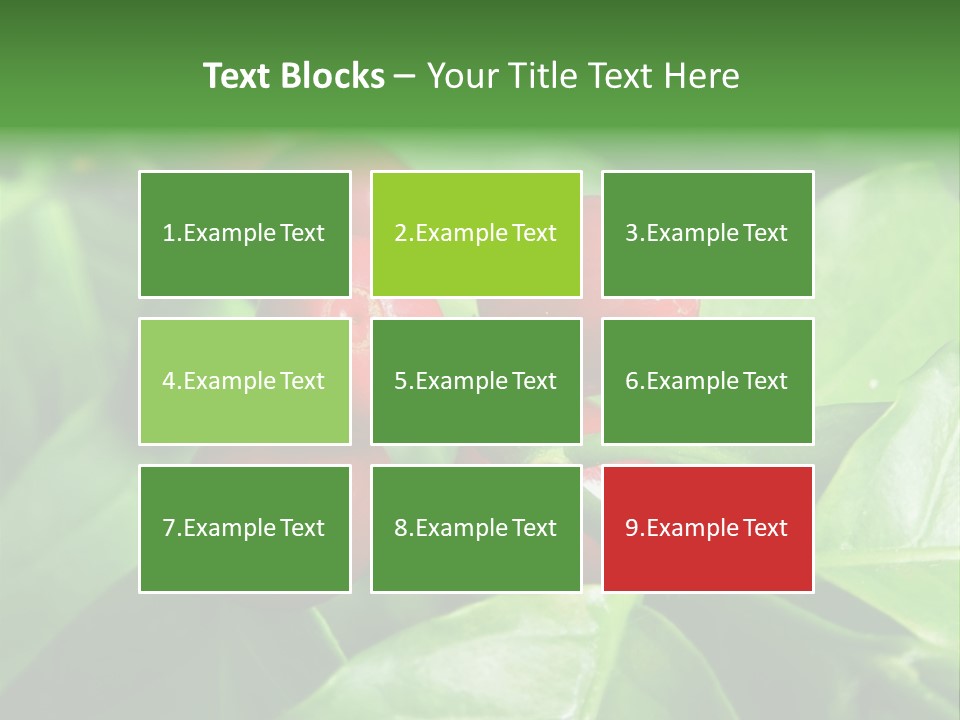 Branch Of A Coffee Tree With Ripe Fruits PowerPoint Template