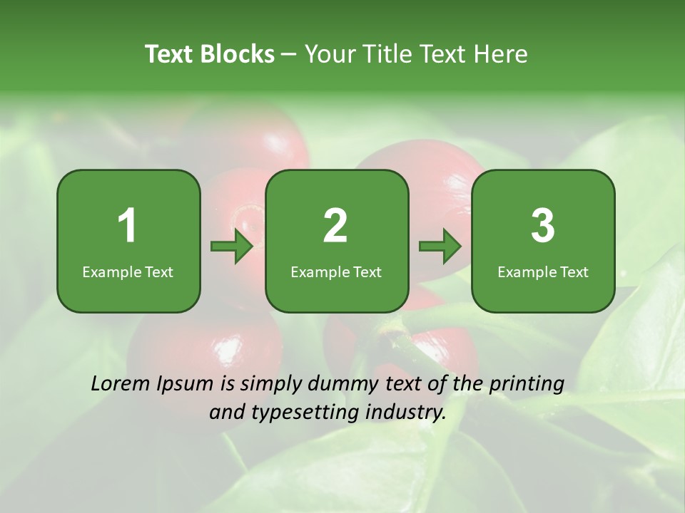Branch Of A Coffee Tree With Ripe Fruits PowerPoint Template