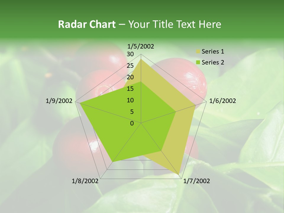 Branch Of A Coffee Tree With Ripe Fruits PowerPoint Template