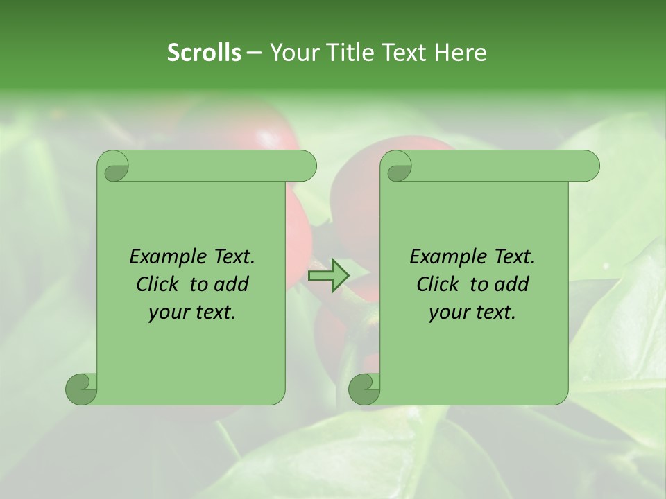 Branch Of A Coffee Tree With Ripe Fruits PowerPoint Template