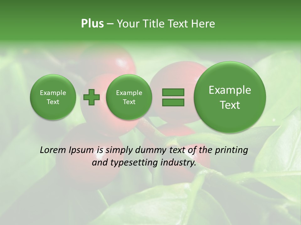 Branch Of A Coffee Tree With Ripe Fruits PowerPoint Template