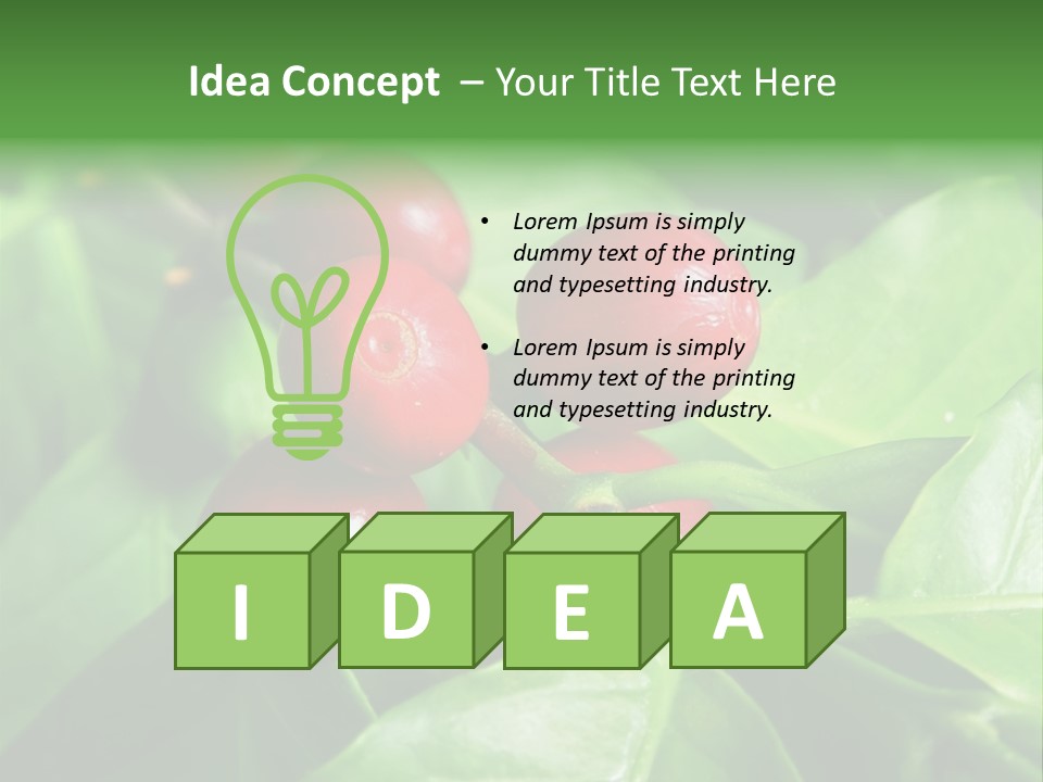 Branch Of A Coffee Tree With Ripe Fruits PowerPoint Template