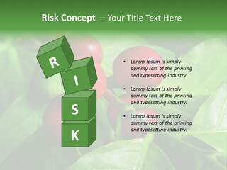 Branch Of A Coffee Tree With Ripe Fruits PowerPoint Template