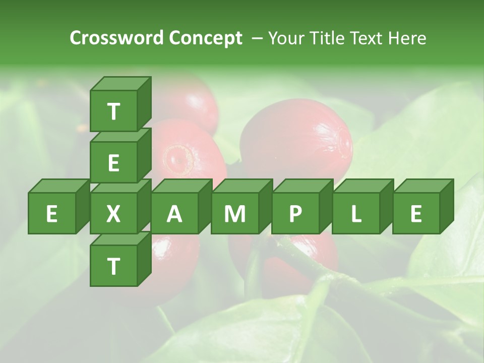 Branch Of A Coffee Tree With Ripe Fruits PowerPoint Template