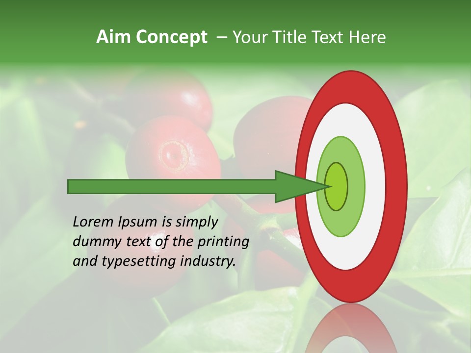 Branch Of A Coffee Tree With Ripe Fruits PowerPoint Template