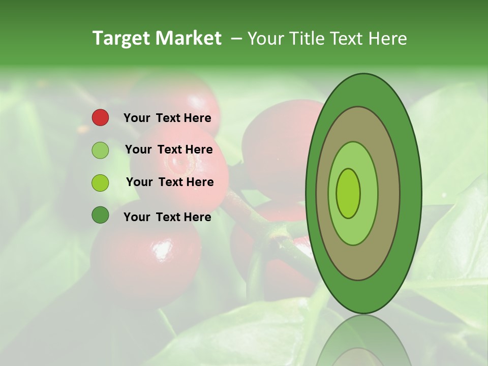 Branch Of A Coffee Tree With Ripe Fruits PowerPoint Template