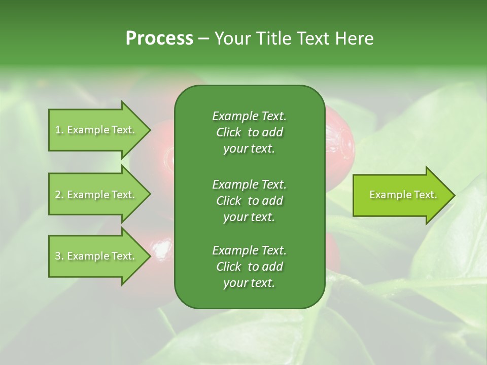 Branch Of A Coffee Tree With Ripe Fruits PowerPoint Template