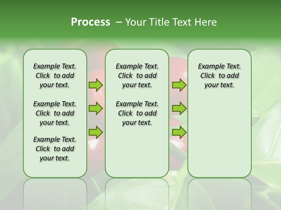 Branch Of A Coffee Tree With Ripe Fruits PowerPoint Template