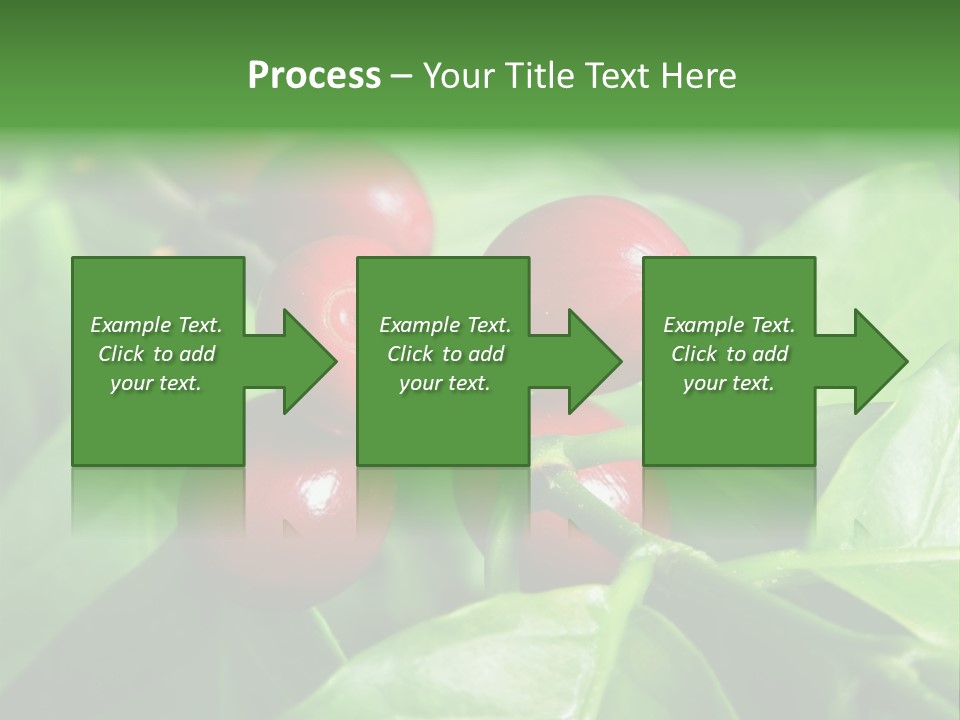 Branch Of A Coffee Tree With Ripe Fruits PowerPoint Template