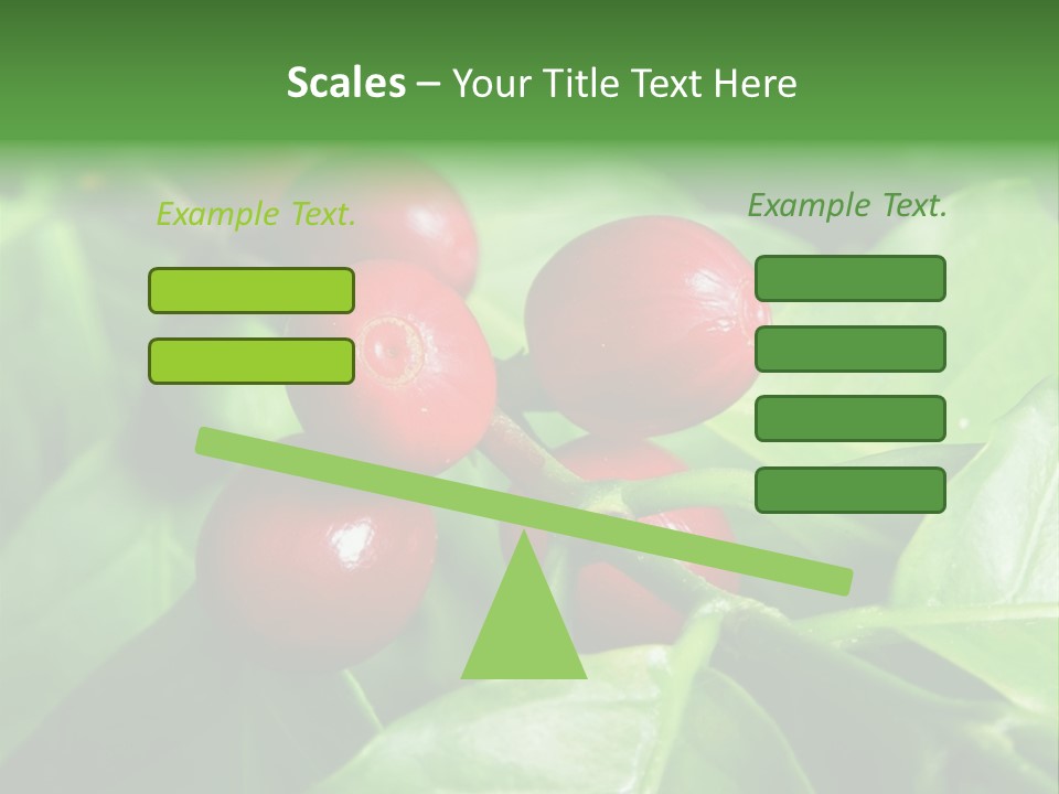 Branch Of A Coffee Tree With Ripe Fruits PowerPoint Template