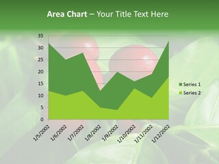 Branch Of A Coffee Tree With Ripe Fruits PowerPoint Template