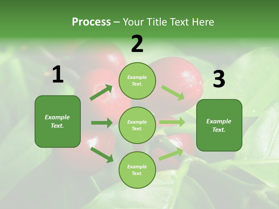 Branch Of A Coffee Tree With Ripe Fruits PowerPoint Template