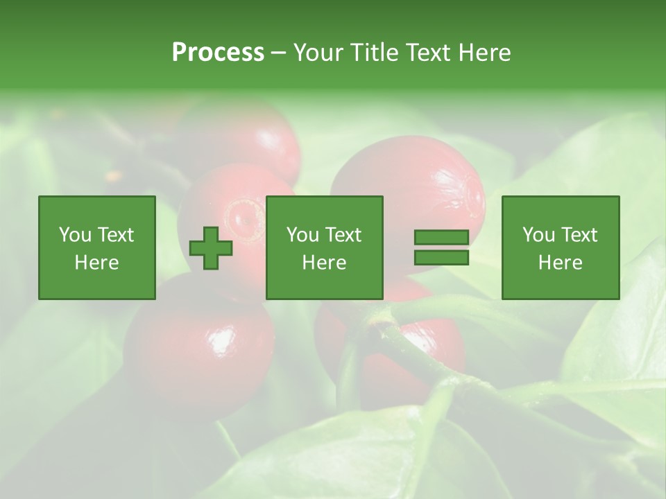 Branch Of A Coffee Tree With Ripe Fruits PowerPoint Template