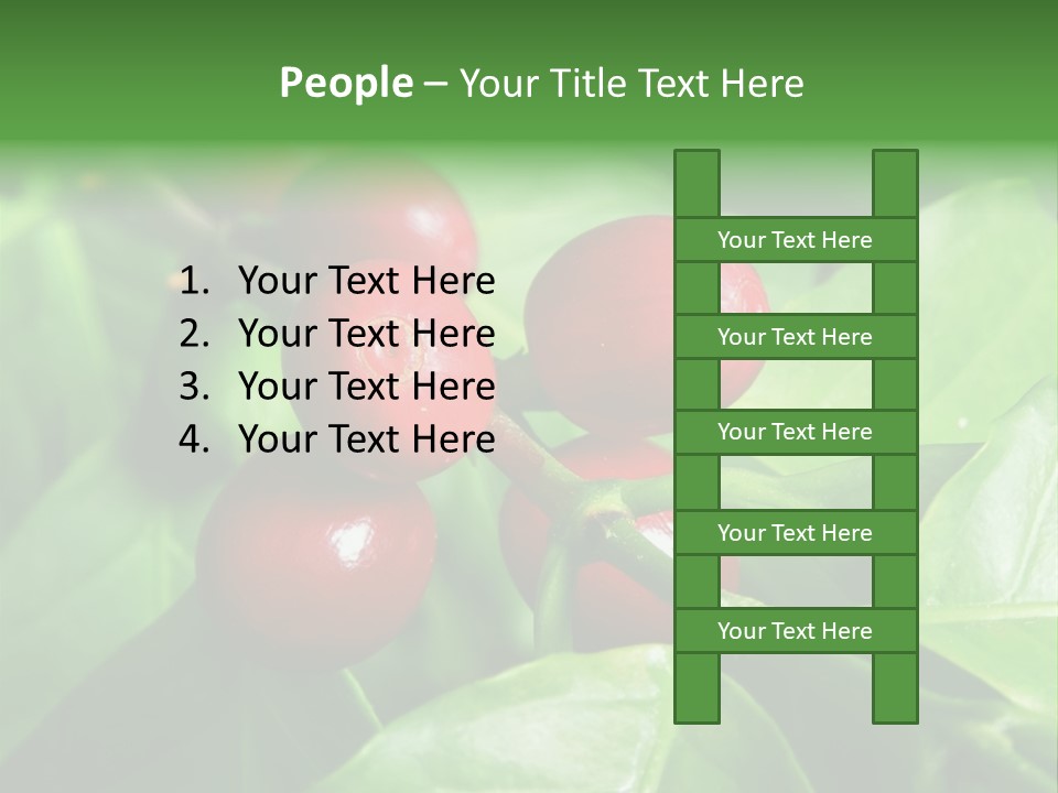 Branch Of A Coffee Tree With Ripe Fruits PowerPoint Template