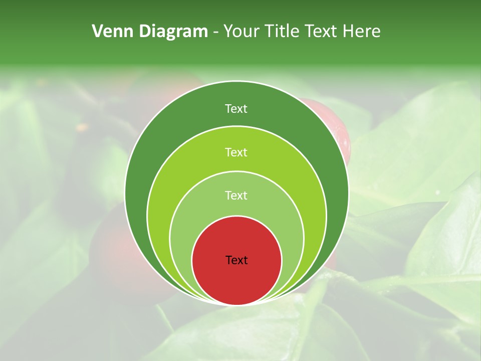 Branch Of A Coffee Tree With Ripe Fruits PowerPoint Template