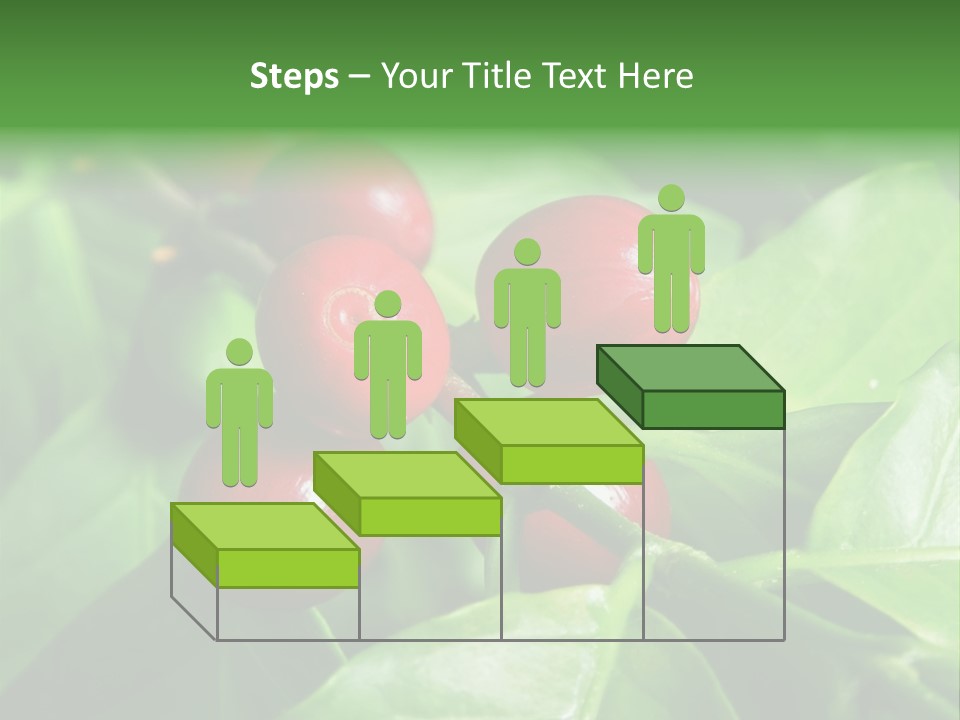 Branch Of A Coffee Tree With Ripe Fruits PowerPoint Template