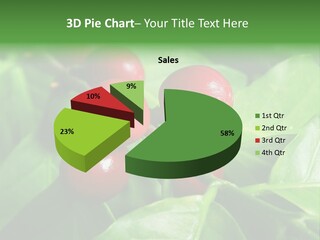 Branch Of A Coffee Tree With Ripe Fruits PowerPoint Template