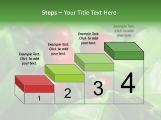 Branch Of A Coffee Tree With Ripe Fruits PowerPoint Template