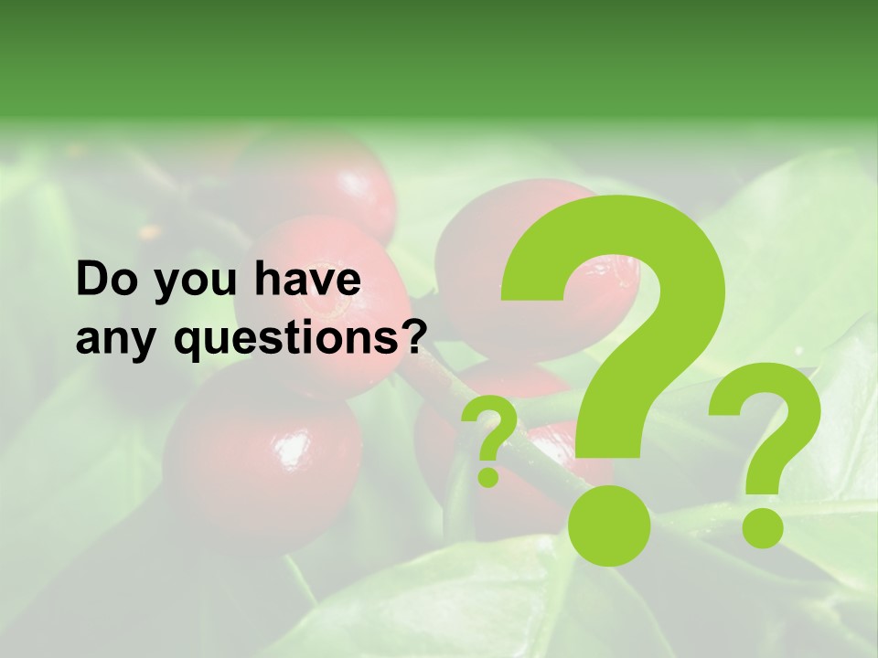 Branch Of A Coffee Tree With Ripe Fruits PowerPoint Template