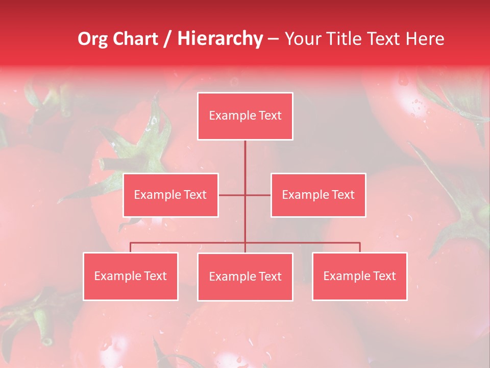 Wet Whole Tomatos Arranged At The Market PowerPoint Template