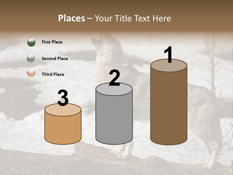 Lone Wolf Howling In Winter. PowerPoint Template