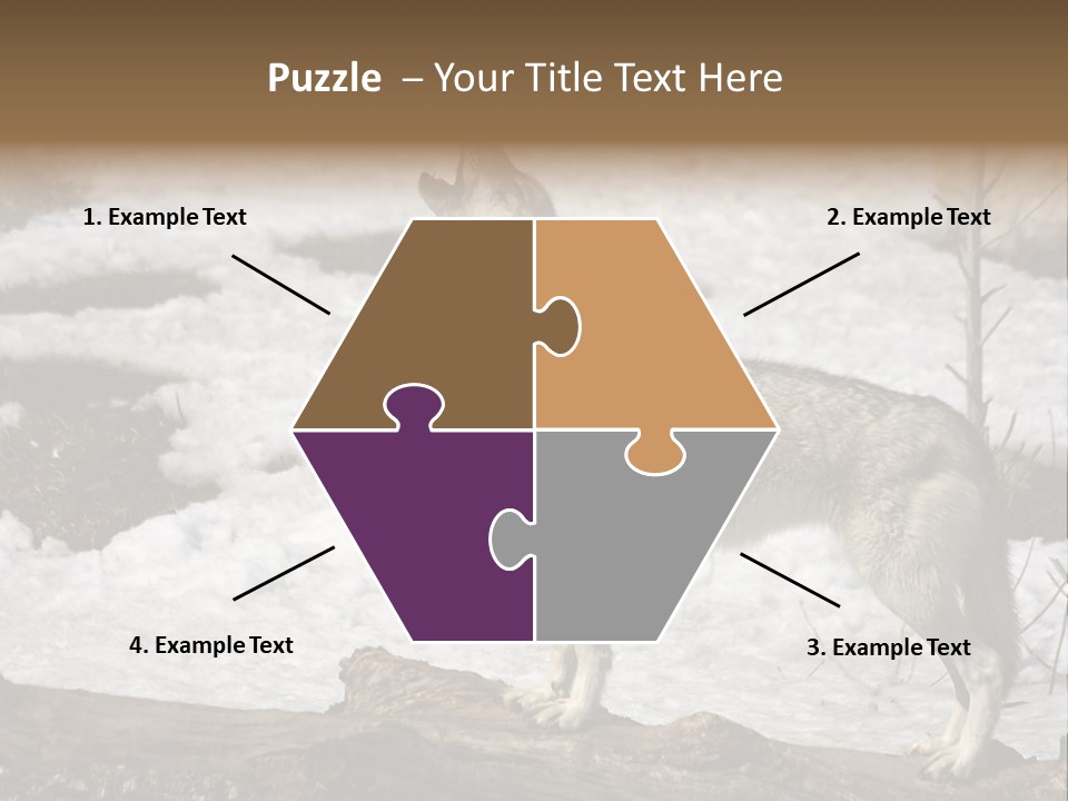 Lone Wolf Howling In Winter. PowerPoint Template