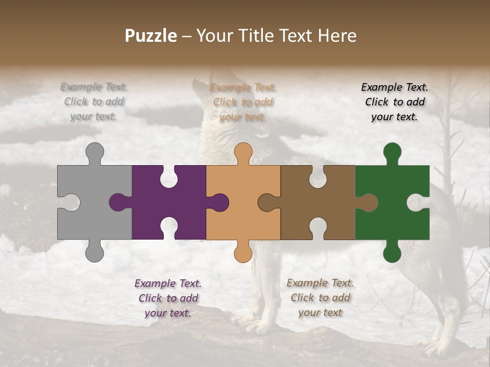 Lone Wolf Howling In Winter. PowerPoint Template