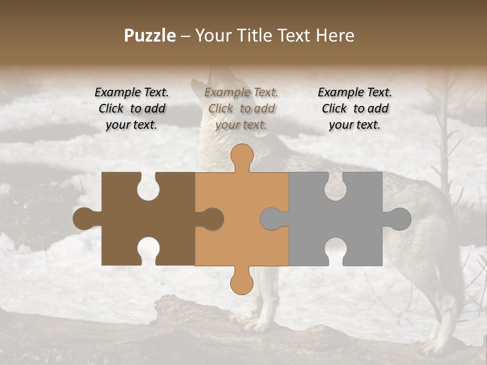 Lone Wolf Howling In Winter. PowerPoint Template