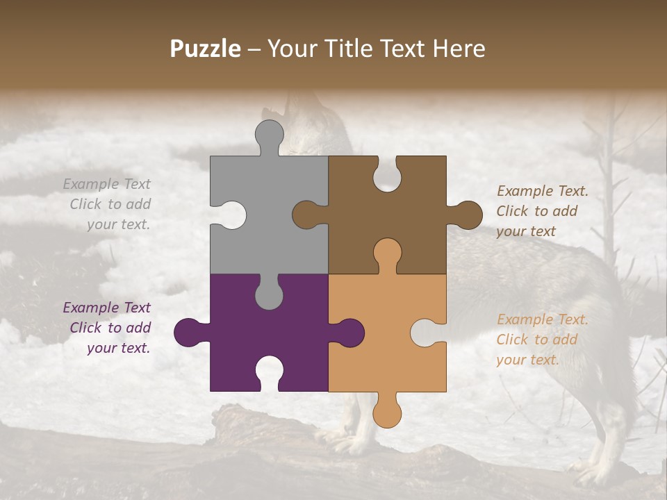 Lone Wolf Howling In Winter. PowerPoint Template