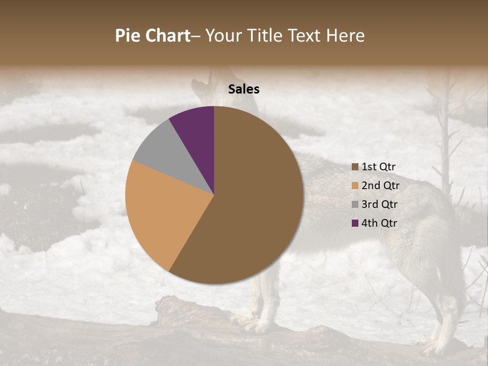 Lone Wolf Howling In Winter. PowerPoint Template