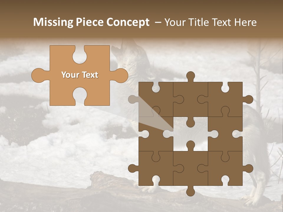 Lone Wolf Howling In Winter. PowerPoint Template