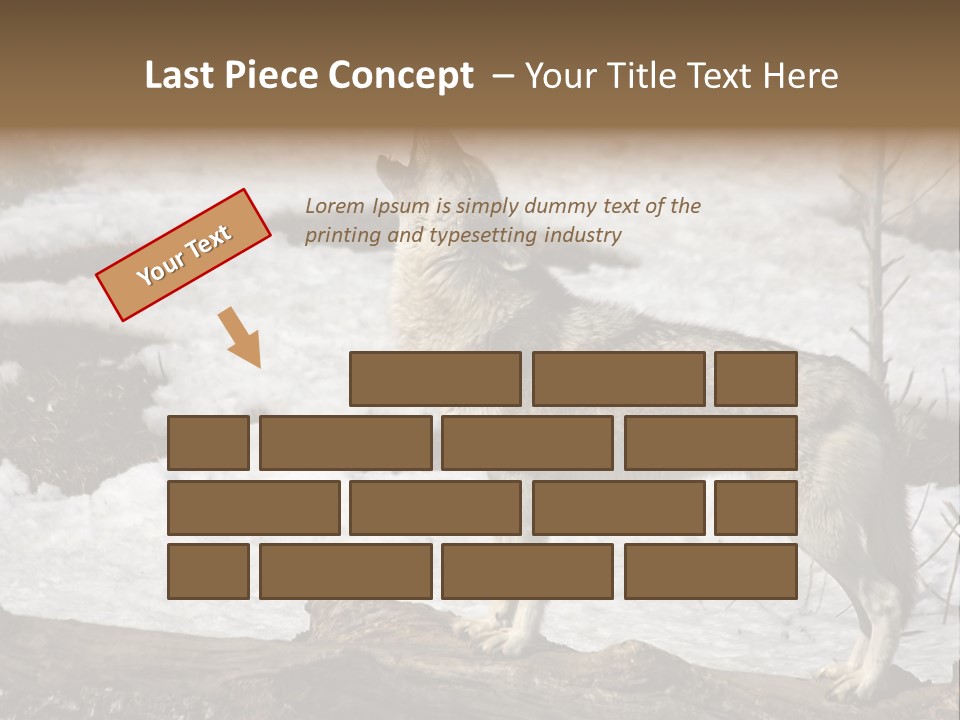 Lone Wolf Howling In Winter. PowerPoint Template
