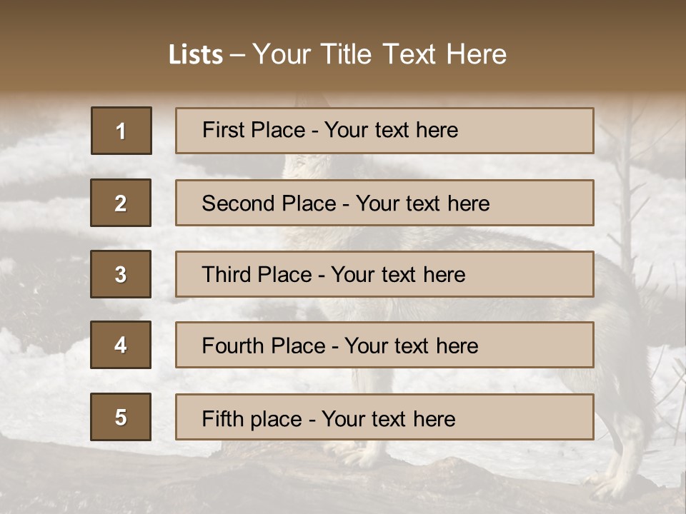 Lone Wolf Howling In Winter. PowerPoint Template